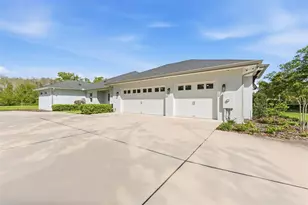 17506 Brown Rd, Odessa, FL 33556 - Photo 7