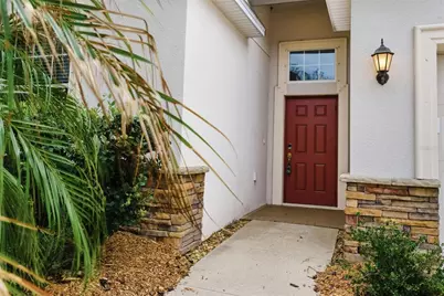 12423 Ballentrae Forest Drive, Riverview, FL 33579 - Photo 5