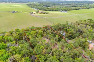 17055 Sweetwater Rd, Dade City, FL 33523 - Photo 53