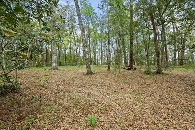 17055 Sweetwater Road, Dade City, FL 33523 - Photo 5