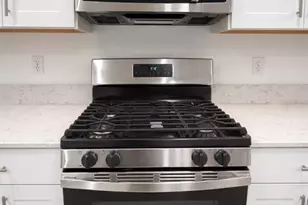 2545 Leonia Ln, Zephyrhills, FL 33541 - Photo 5