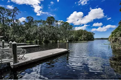 3164 Brooker Creek Way, Palm Harbor, FL 34685 - Photo 59