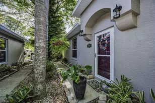 3164 Brooker Creek Way, Palm Harbor, FL 34685 - Photo 5
