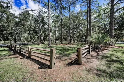 3164 Brooker Creek Way, Palm Harbor, FL 34685 - Photo 69