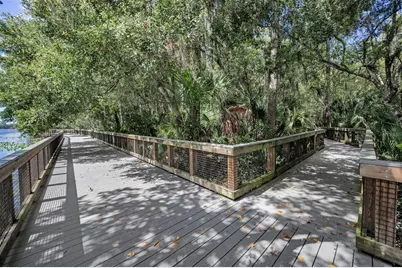 3164 Brooker Creek Way, Palm Harbor, FL 34685 - Photo 65
