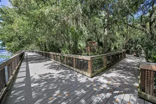 3164 Brooker Creek Way, Palm Harbor, FL 34685 - Photo 65