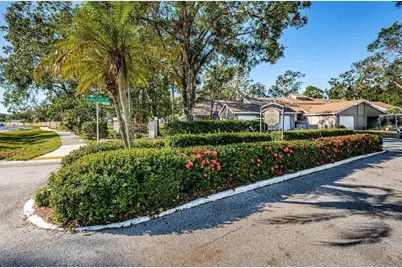3164 Brooker Creek Way, Palm Harbor, FL 34685 - Photo 49