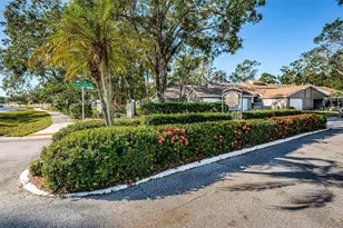 3164 Brooker Creek Way, Palm Harbor, FL 34685 - Photo 49