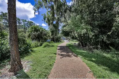 3164 Brooker Creek Way, Palm Harbor, FL 34685 - Photo 63