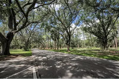 3164 Brooker Creek Way, Palm Harbor, FL 34685 - Photo 57