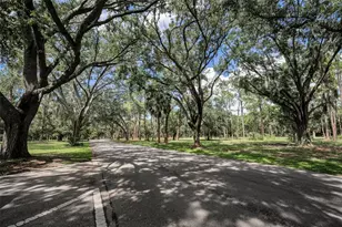3164 Brooker Creek Way, Palm Harbor, FL 34685 - Photo 57