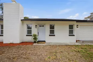 8803 Van Fleet Rd, Riverview, FL 33578 - Photo 29