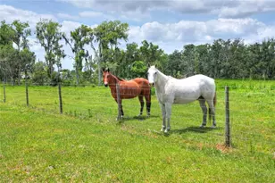 0 S Cr 39, Lithia, FL 33547 - Photo 1