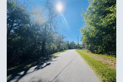 11340 Bessie Dix Road, Seffner, FL 33584 - Photo 11