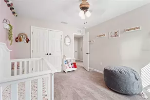 34316 Verbena St, Wesley Chapel, FL 33545 - Photo 35