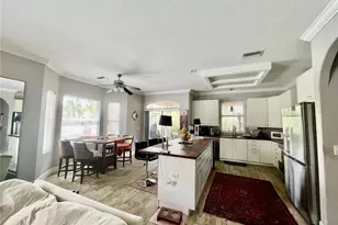 21007 Los Cabos Ct, Land O Lakes, FL 34637 - Photo 7