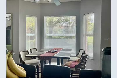 21007 Los Cabos Court, Land O Lakes, FL 34637 - Photo 5