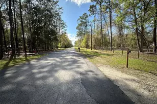 20403 Gamble Dr, Brooksville, FL 34601 - Photo 69