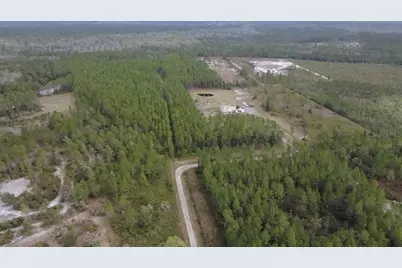 Wild Cur Road, Pierson, FL 32180 - Photo 5