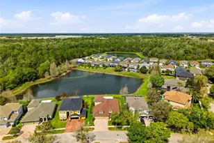 29725 Cedar Waxwing Dr, Wesley Chapel, FL 33545 - Photo 3