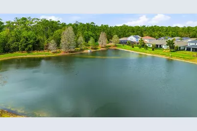 29725 Cedar Waxwing Drive, Wesley Chapel, FL 33545 - Photo 43