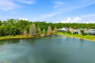 29725 Cedar Waxwing Dr, Wesley Chapel, FL 33545 - Photo 43