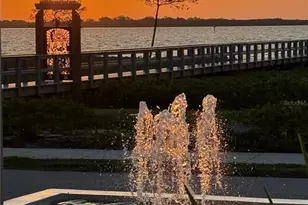 1405 N Bayshore Dr, Safety Harbor, FL 34695 - Photo 23