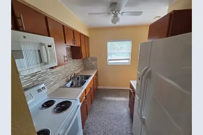 4217 E 97th Avenue, Tampa, FL 33617 - Photo 7