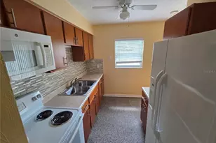 4217 E 97th Ave, Tampa, FL 33617 - Photo 7