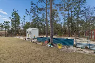 16301 Greenback Rd, Weeki Wachee, FL 34614 - Photo 19