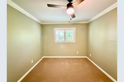 3103 Cocos Road, Tampa, FL 33618 - Photo 45