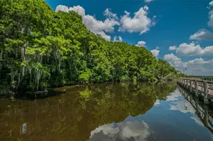 4604 Ayron Terrace, Palm Harbor, FL 34685 - Photo 65