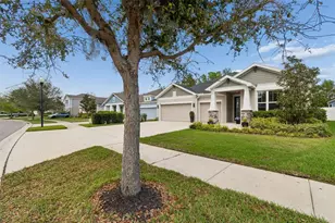 4911 Lakeshore Oaks Ct, Tampa, FL 33624 - Photo 3