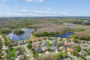 17906 Sparrows Nest Dr, Lutz, FL 33558 - Photo 61