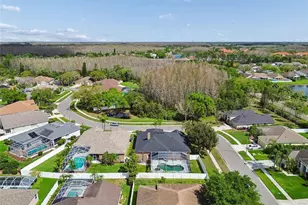 17906 Sparrows Nest Dr, Lutz, FL 33558 - Photo 61