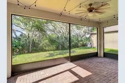 6402 Yellow Buckeye Drive, Riverview, FL 33578 - Photo 5