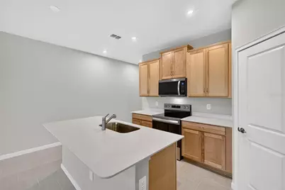 8823 Ginko Run, Parrish, FL 34219 - Photo 9