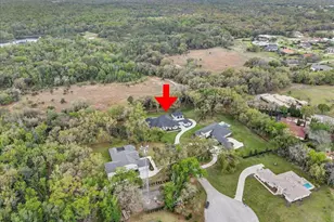 3317 Chase Jackson Br, Lutz, FL 33559 - Photo 95