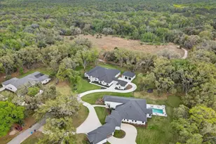 3317 Chase Jackson Br, Lutz, FL 33559 - Photo 91