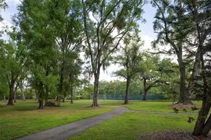 11504 Cerca Del Rio Pl, Temple Terrace, FL 33617 - Photo 39