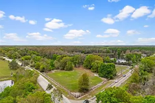 18150 Burrell Rd, Odessa, FL 33556 - Photo 5