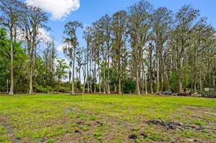 18150 Burrell Rd, Odessa, FL 33556 - Photo 7