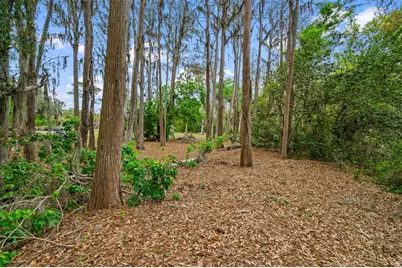 18150 Burrell Road, Odessa, FL 33556 - Photo 13