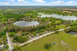 18150 Burrell Rd, Odessa, FL 33556 - Photo 3