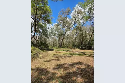 12503 Avery Road, Thonotosassa, FL 33592 - Photo 11
