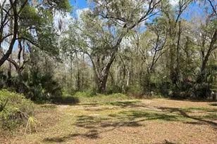 12503 Avery Rd, Thonotosassa, FL 33592 - Photo 11
