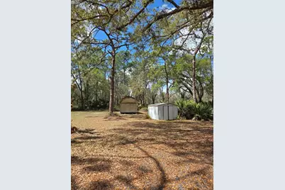 12503 Avery Road, Thonotosassa, FL 33592 - Photo 9