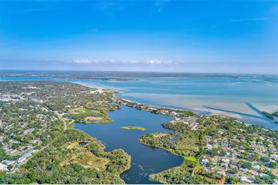 1287 N McMullen Booth Road, Clearwater, FL 33759 - Photo 39