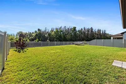 19261 Mossy Pine Drive, Tampa, FL 33647 - Photo 25