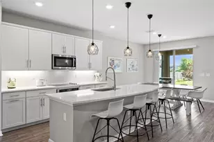 19261 Mossy Pine Dr, Tampa, FL 33647 - Photo 5